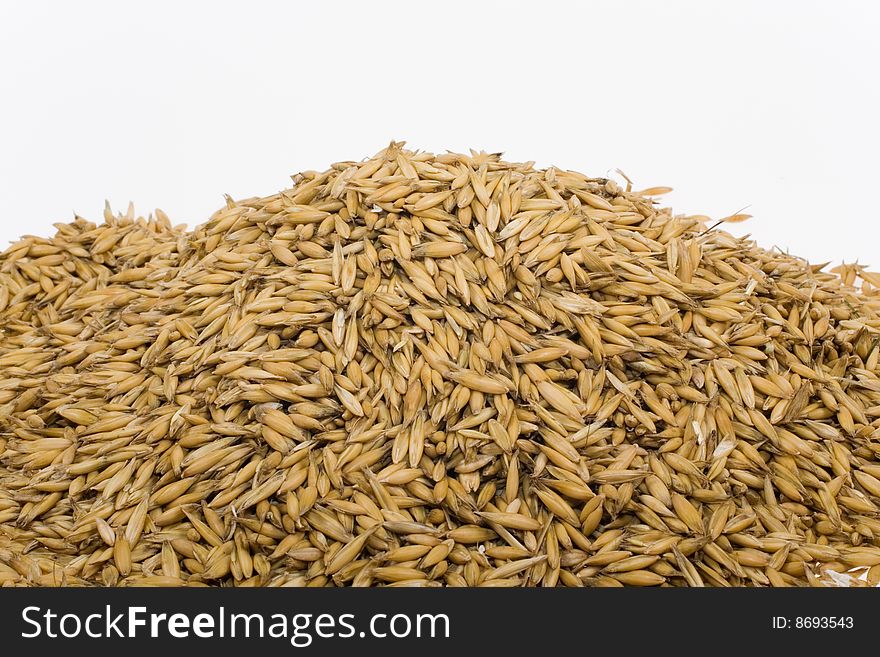 Oats seeds on white background