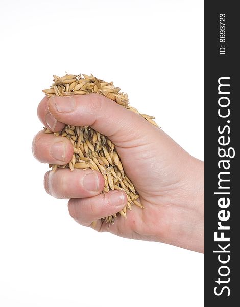 Handful of oats on white background