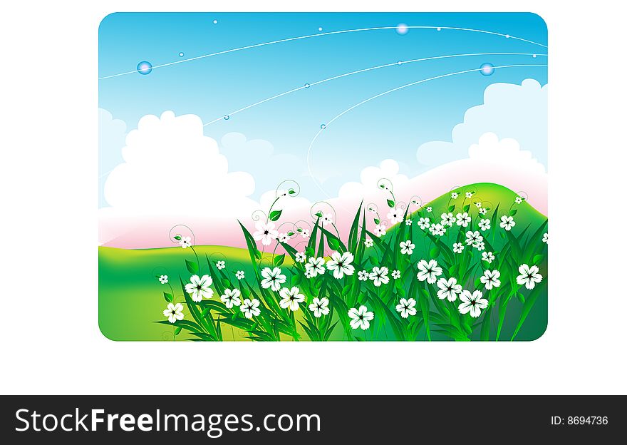 summer bright landscape with white flowers
