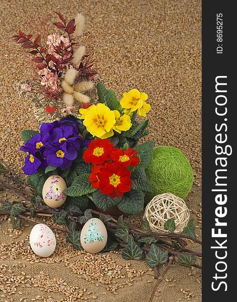 Easter decoration with primrose,Easter egg against a background from corn. Easter decoration with primrose,Easter egg against a background from corn.