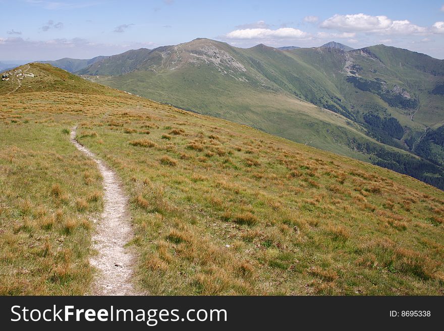 Carpathian Mountains in Romania:  trail to Pietrosul Peak in Rodney Mts. Carpathian Mountains in Romania:  trail to Pietrosul Peak in Rodney Mts