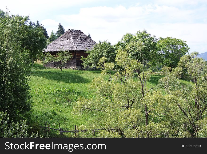 Meadow in Carpathian Mountains in Romania, Borsa region. Meadow in Carpathian Mountains in Romania, Borsa region