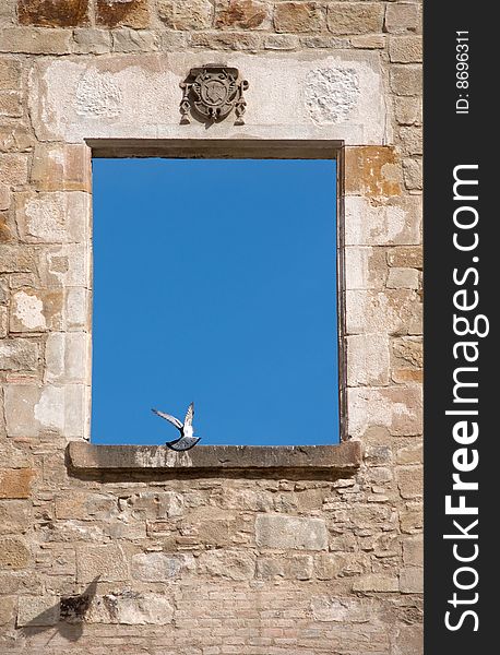 A pigeon in a window of an old ruin.