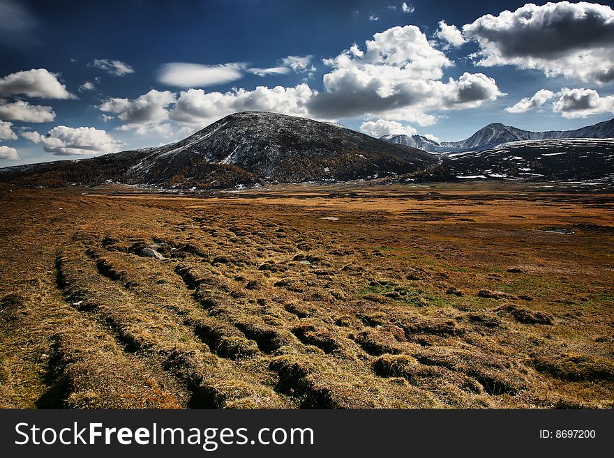 Pasture land with snow mountains