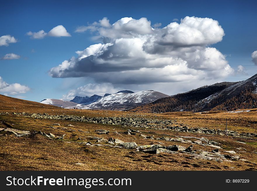 Pasture Land With Snow Mountains