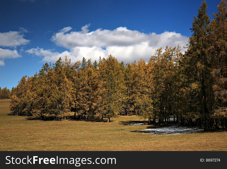 Pasture And Clouds