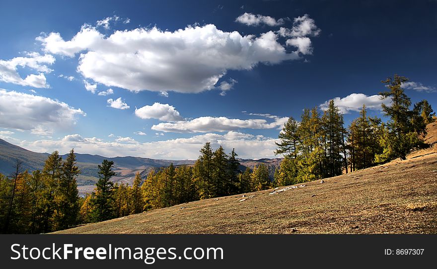 Autumn landscape, blue sky with white clouds and pasture. Autumn landscape, blue sky with white clouds and pasture.