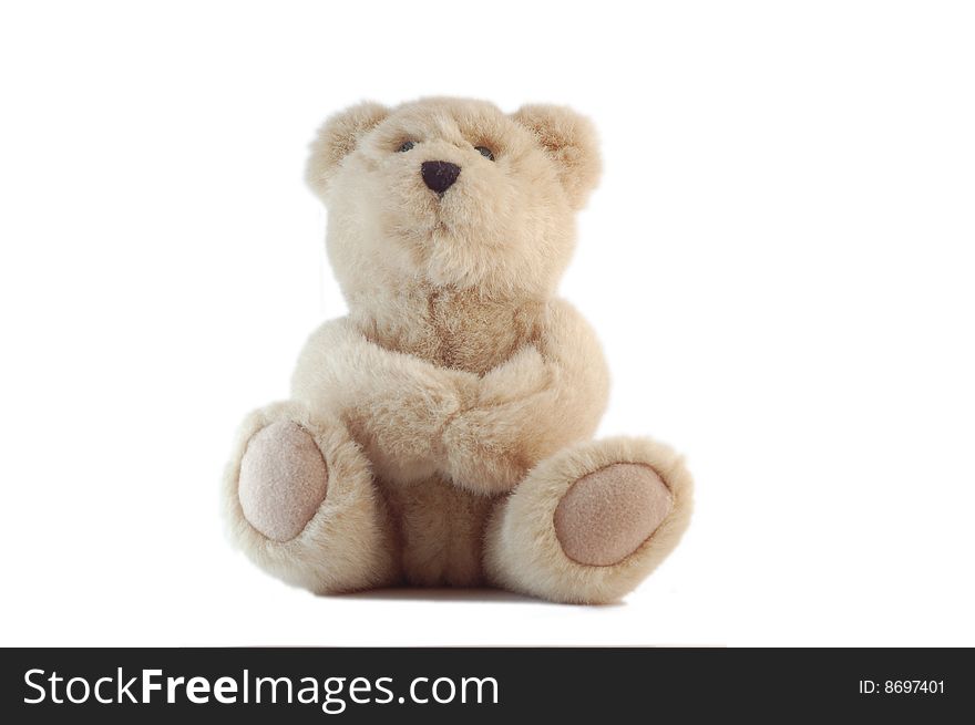 A teddy bear looking up, isolated on white. A teddy bear looking up, isolated on white.