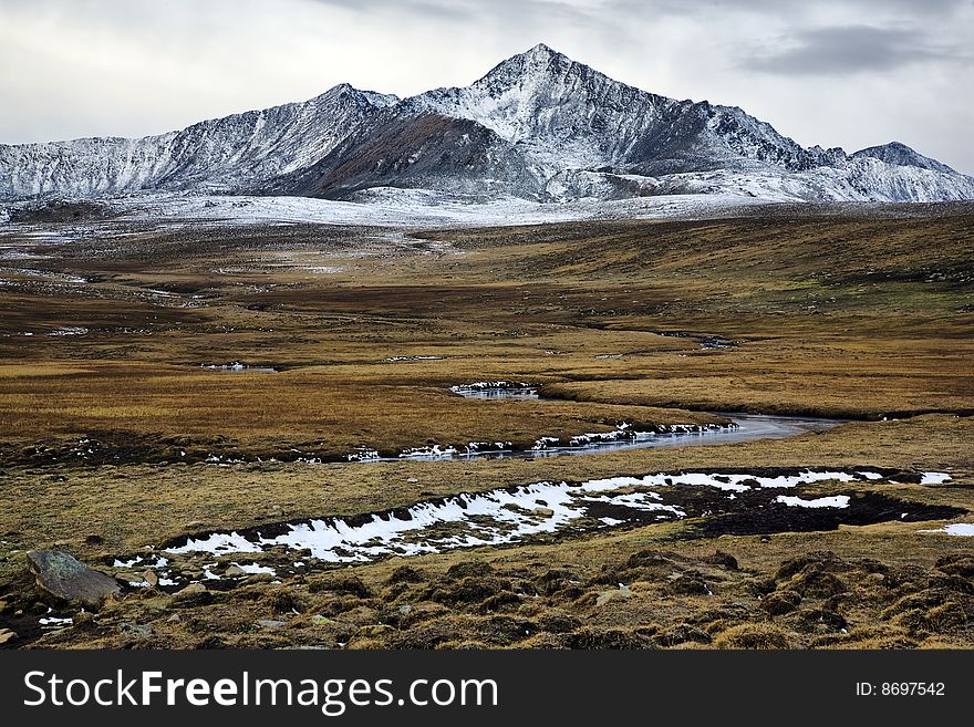 Meadow and mountains