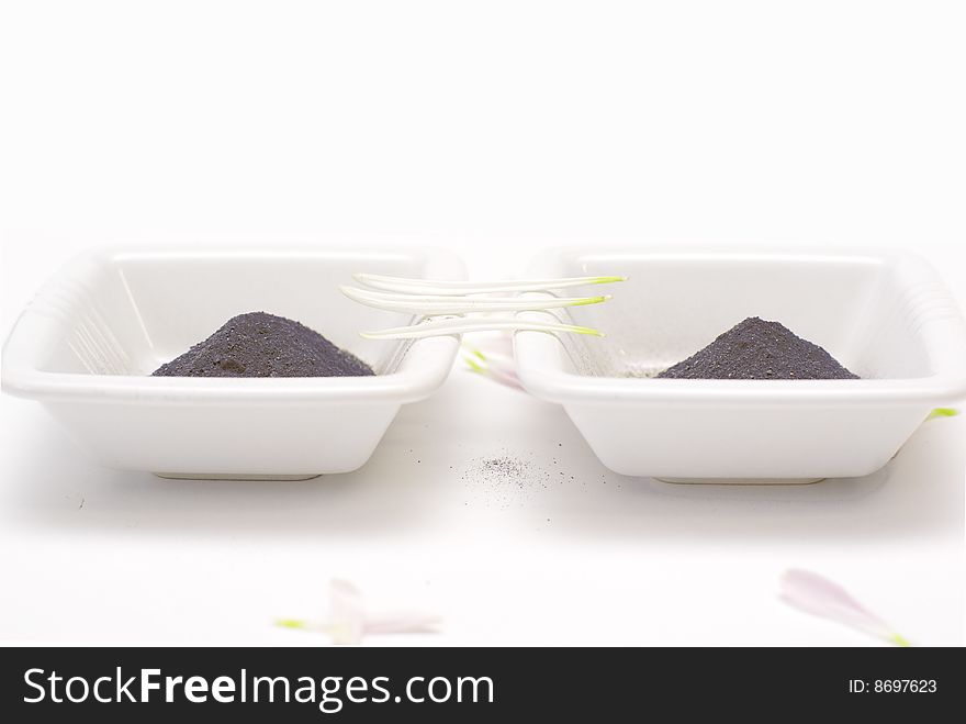 Two white bowls with clay for  face. Two white bowls with clay for  face