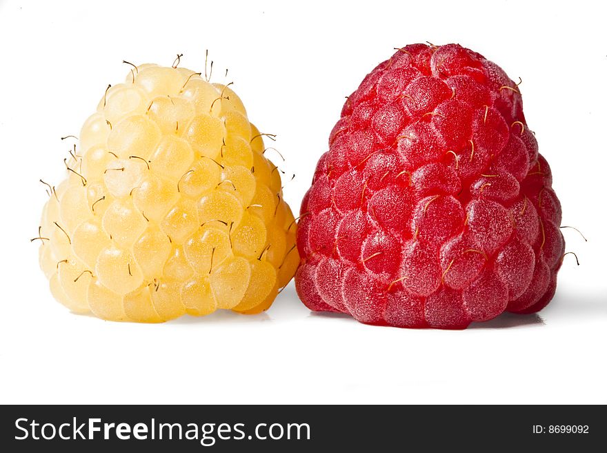 Red and gold raspberries isolated on white background. Red and gold raspberries isolated on white background