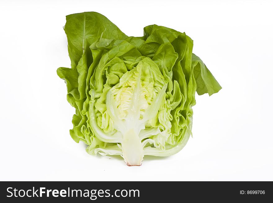 Green lettuce on white background. Green lettuce on white background