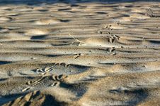Footprint Stock Images