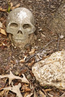 Man-made Human Skull Stock Photos Man-made Human Skull Stock Photos