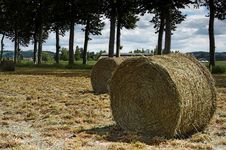 Hay Bale Stock Photos Hay Bale Stock Photos