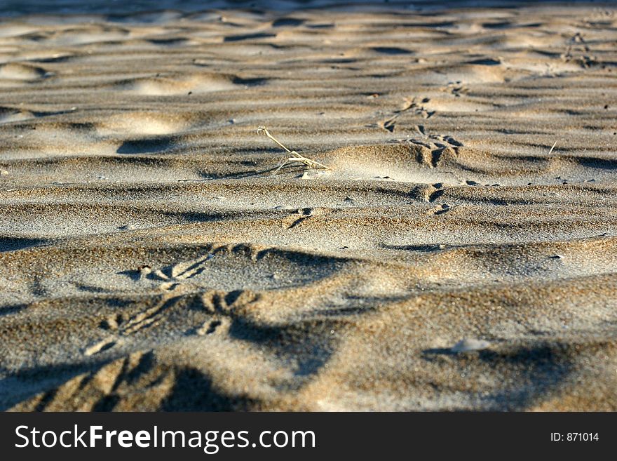 Footprint on the sand