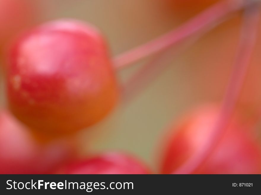 Cherry Pattern Background