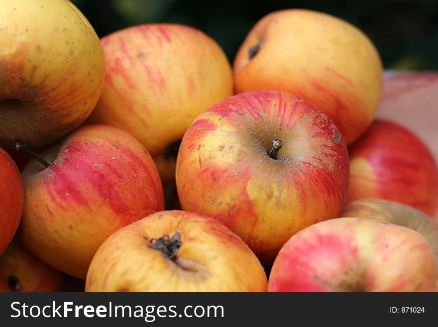 Close up picture of apples