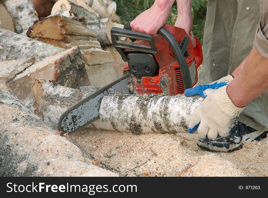 Cutting Log With Chainsaw