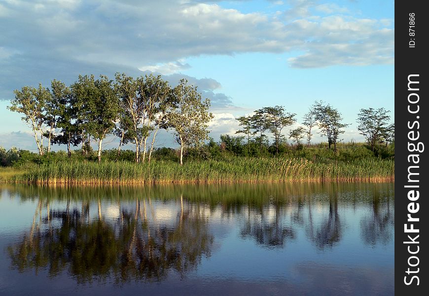 Summer landscape. Summer landscape