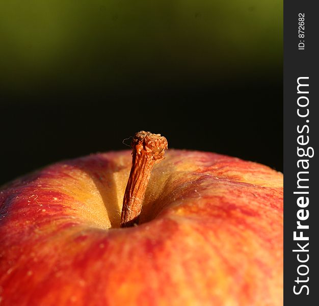 Close up picture ofan apple