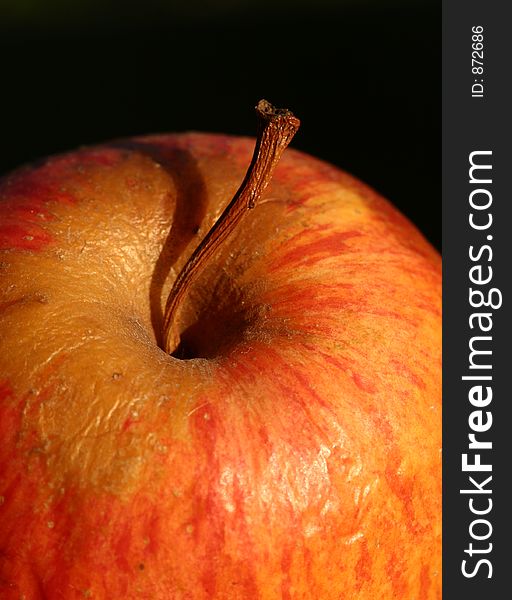 Close up picture of an apple