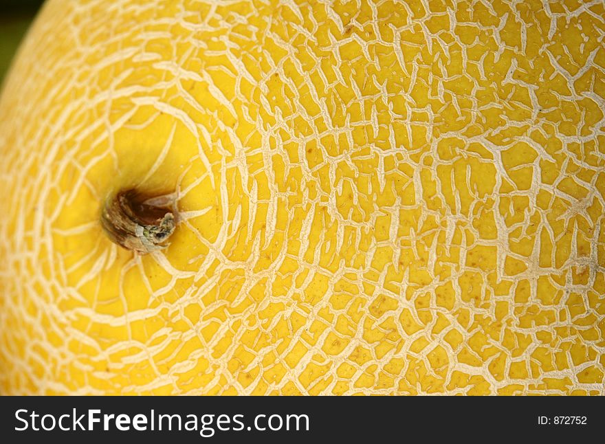 Close up picture of fruits , a study of colours and forms, a melon. Close up picture of fruits , a study of colours and forms, a melon