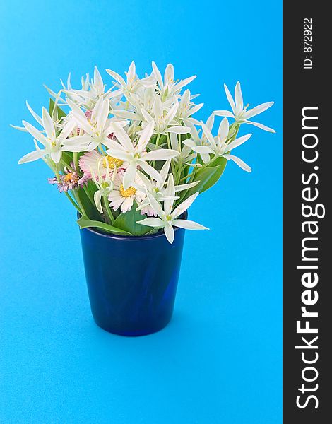 Spring flowers in mug over blue background