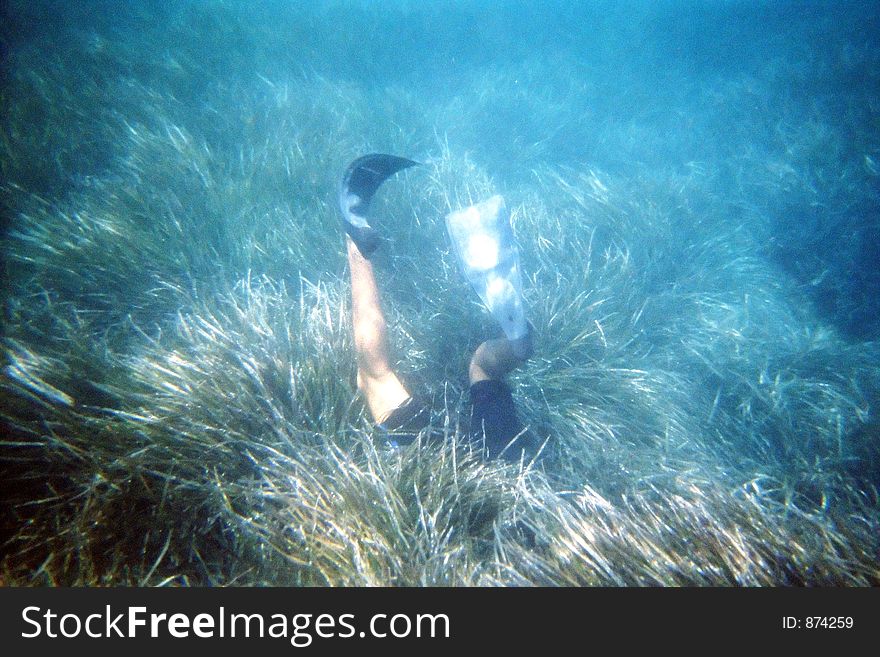 Diver on the botom of the sea in sea grass. Diver on the botom of the sea in sea grass