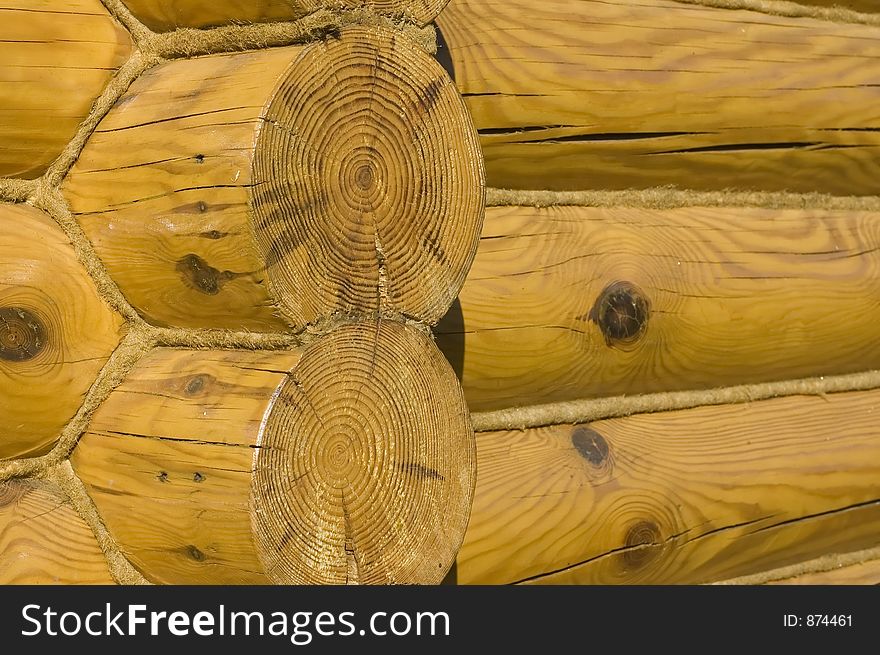 Wooden texture. Wooden texture