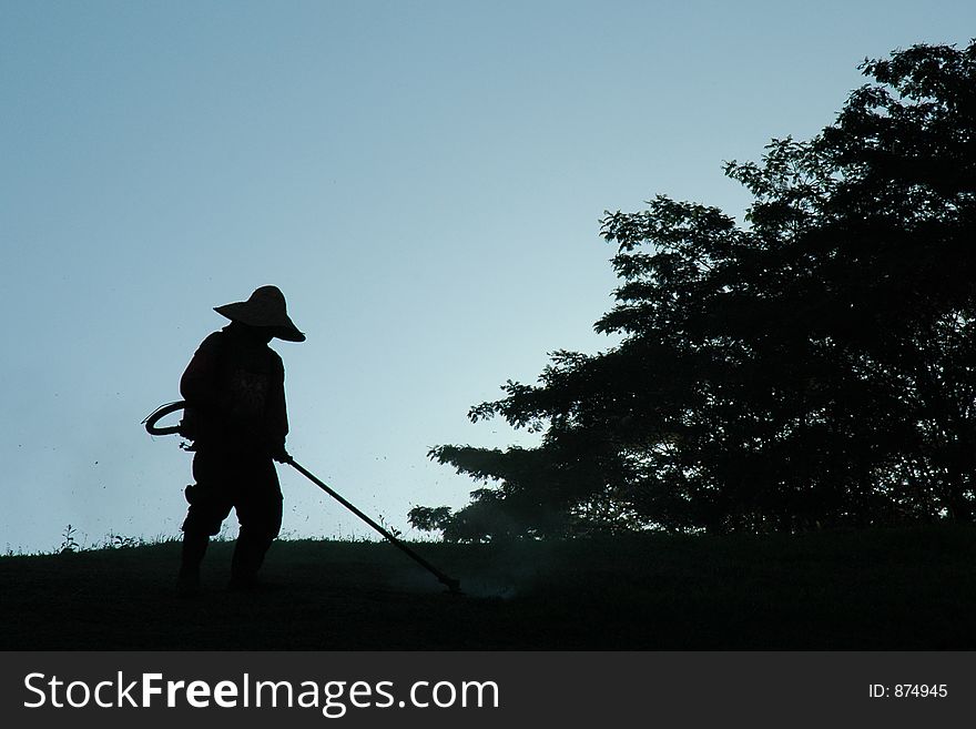 Grass cutting in the park