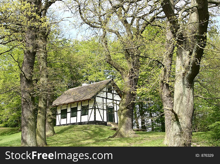 Half timbered traditional house   in denmark a sunny summer day