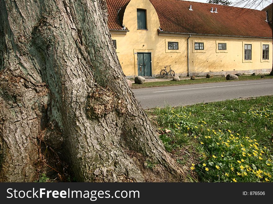 Large yellow l house a sunny summer day with a bike in a village in denmark, tree and flowers in the foreground. Large yellow l house a sunny summer day with a bike in a village in denmark, tree and flowers in the foreground