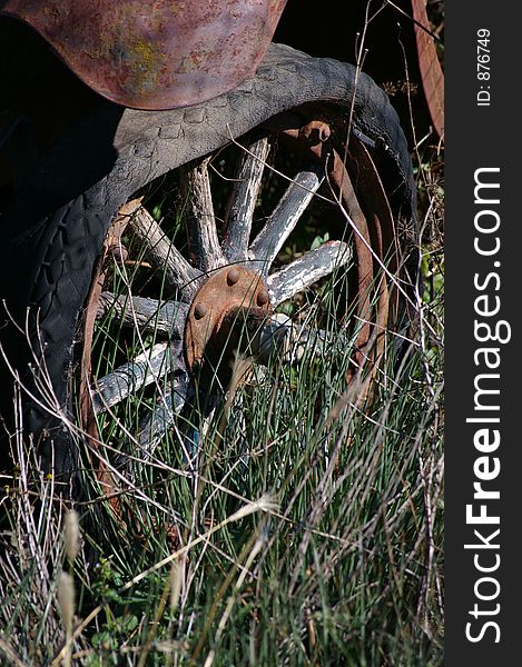 An old truck tyre in the grass