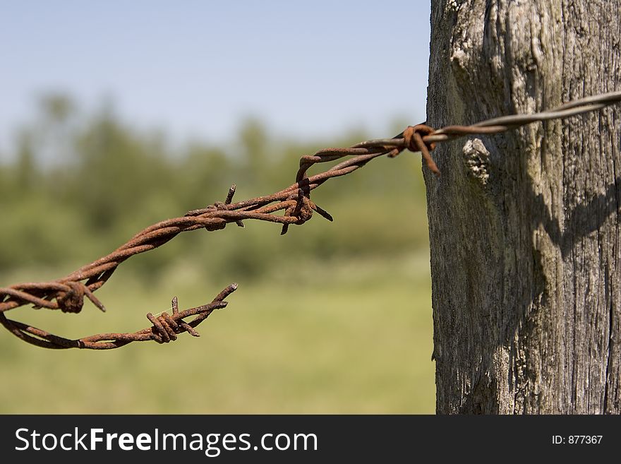 Rusty barbed wire. Rusty barbed wire