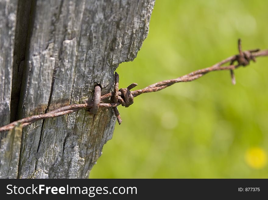 Rusty barbed wire. Rusty barbed wire