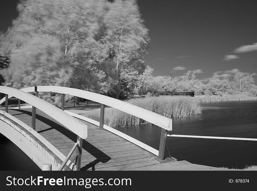 Infrared Pond