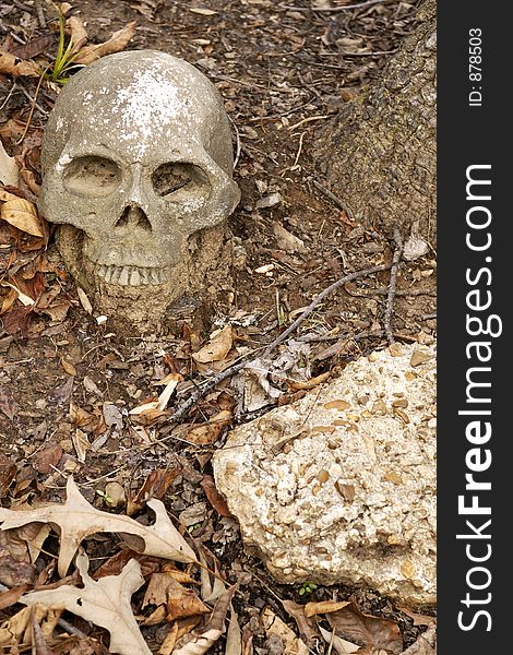 Concrete skull in shape of human head. Concrete skull in shape of human head