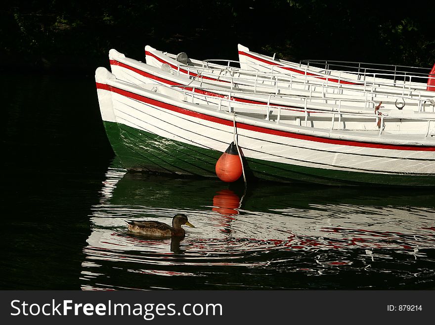 Boat On A Lake