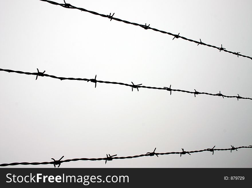 Barbed wire