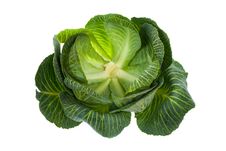 Cabbage Isolated On White Stock Photography Cabbage Isolated On White Stock Photography