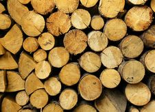 Tree Felling Stock Photography Tree Felling Stock Photography