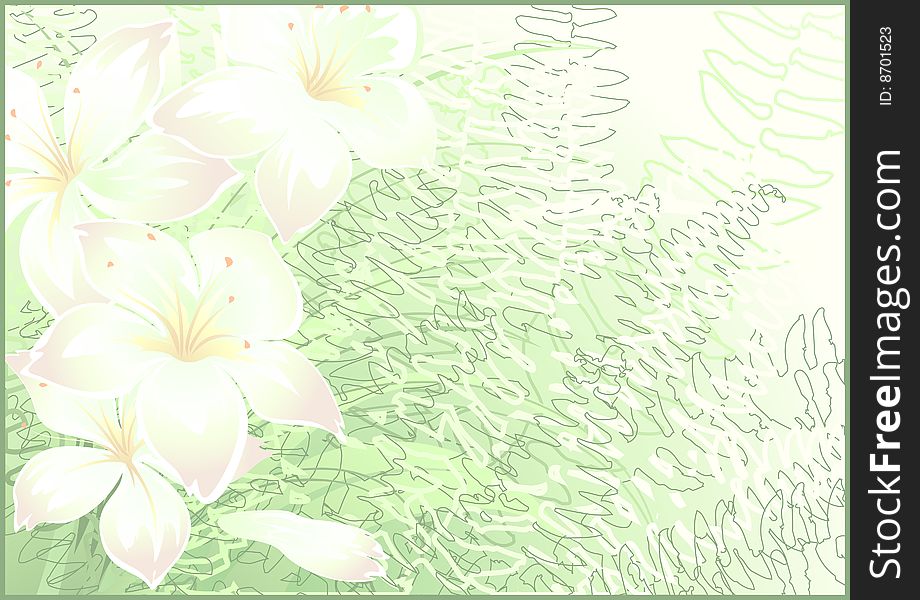 white flowers and green leafs as background. white flowers and green leafs as background