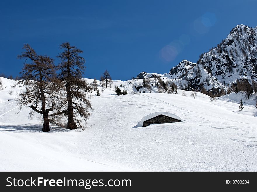 A close up of a white landscape in the Alps after a snowfall. A close up of a white landscape in the Alps after a snowfall