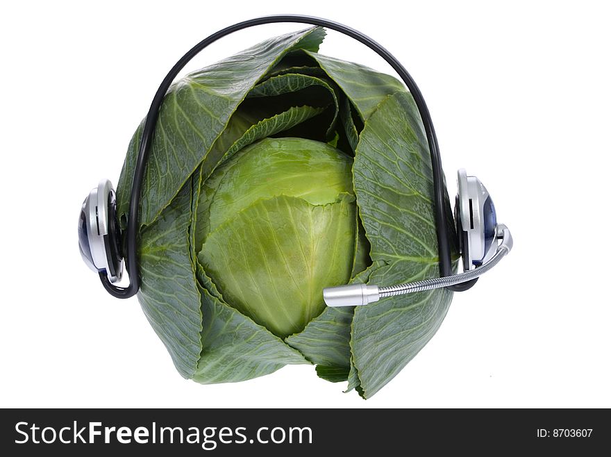 Cabbage with earphones isolated on white. Cabbage with earphones isolated on white