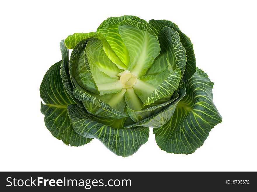 Cabbage Isolated On White