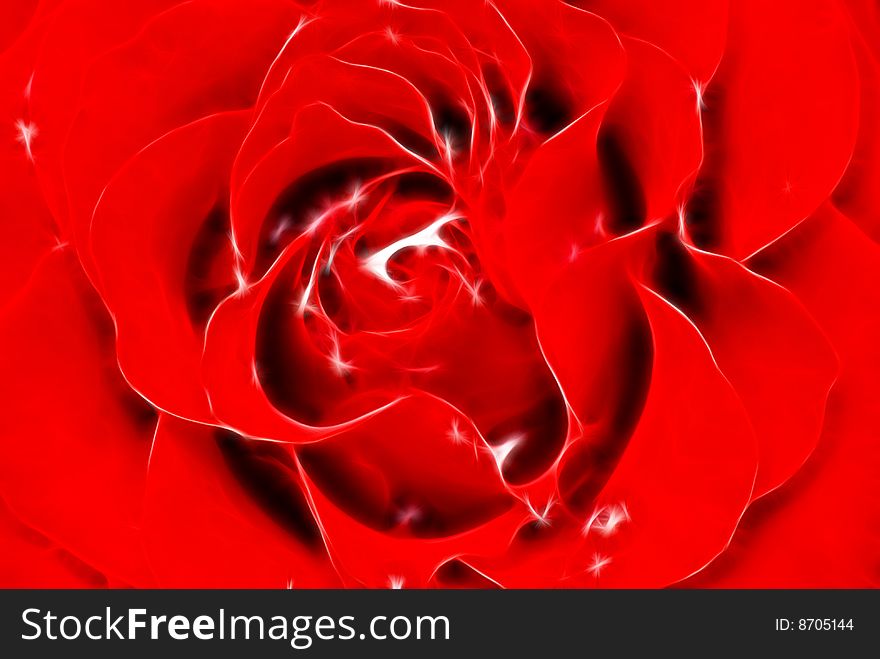 Red Rose close-up. Abstract background. Red Rose close-up. Abstract background.