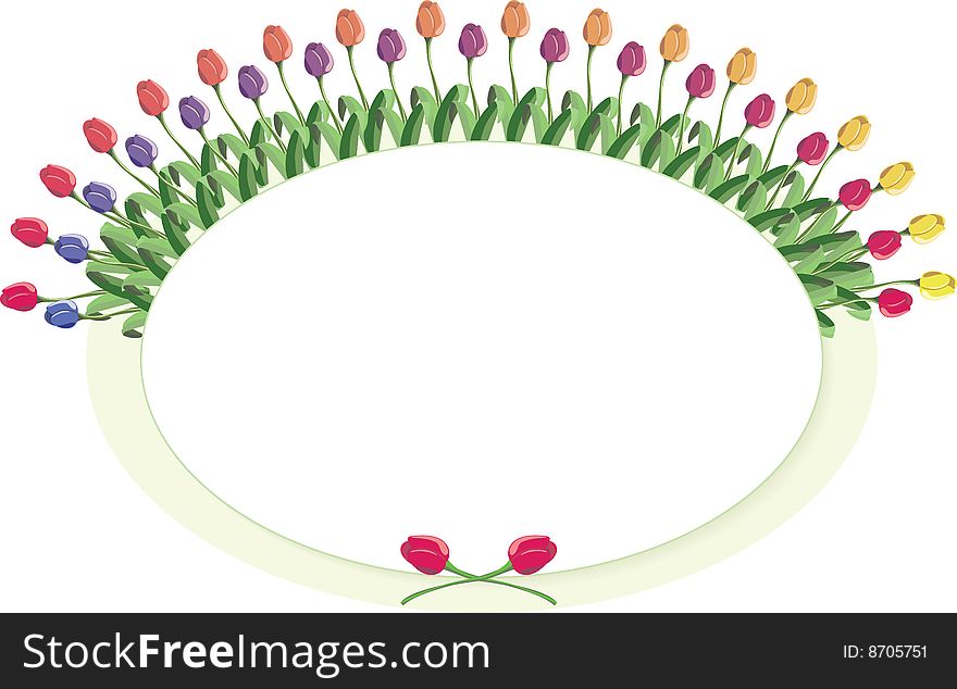 Tulips line an oval with space for a message. Vector Illustration. Tulips line an oval with space for a message. Vector Illustration.