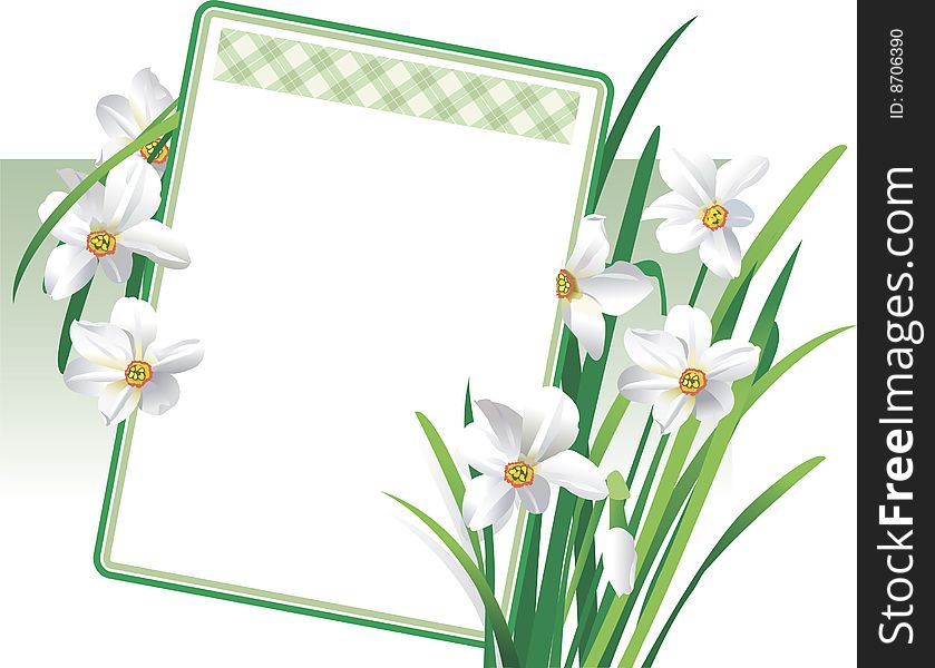 White flowers on green background. White flowers on green background