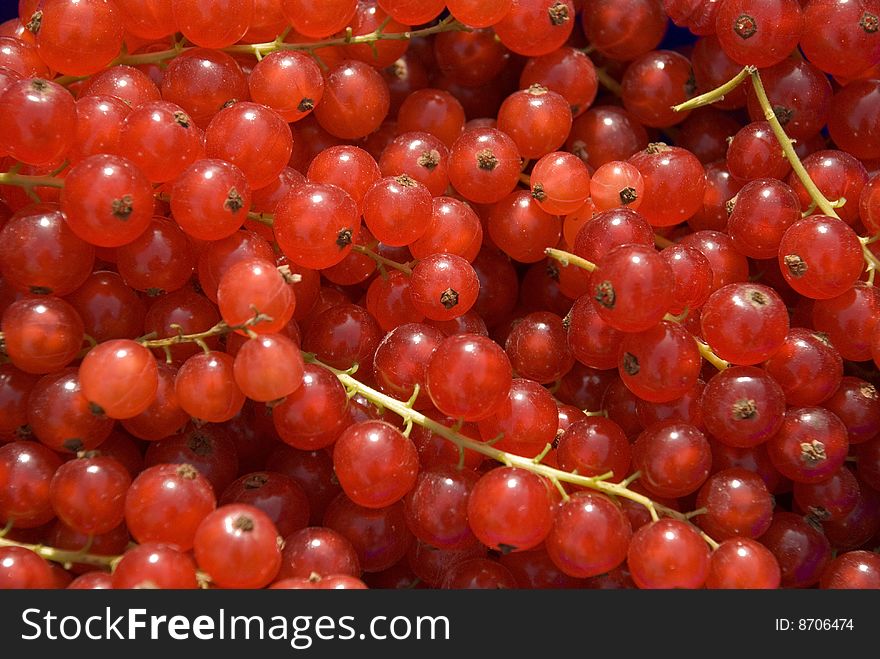 Some fresh currants in the sun